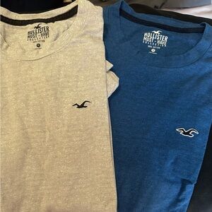 Hollister Men's Short Sleeve Tees in Blue and Gray
